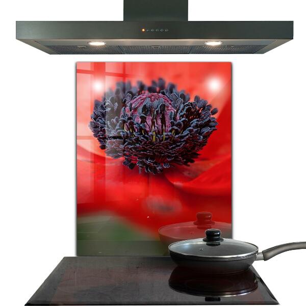 Rivestimento parete cucina Dettagli del papavero rosso