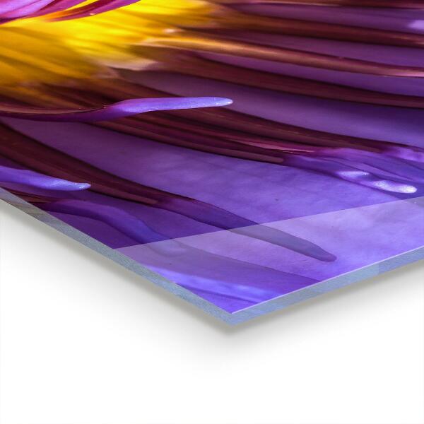 Rivestimento parete cucina Dettagli del fiore viola