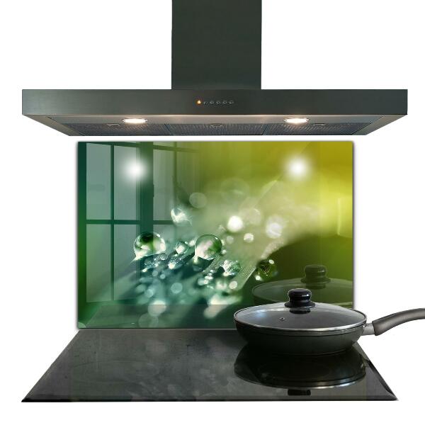 Pannello paraschizzi cucina Rugiada sulle foglie verdi