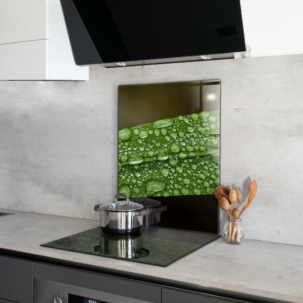 Pannello paraschizzi cucina Foglia verde dopo la pioggia