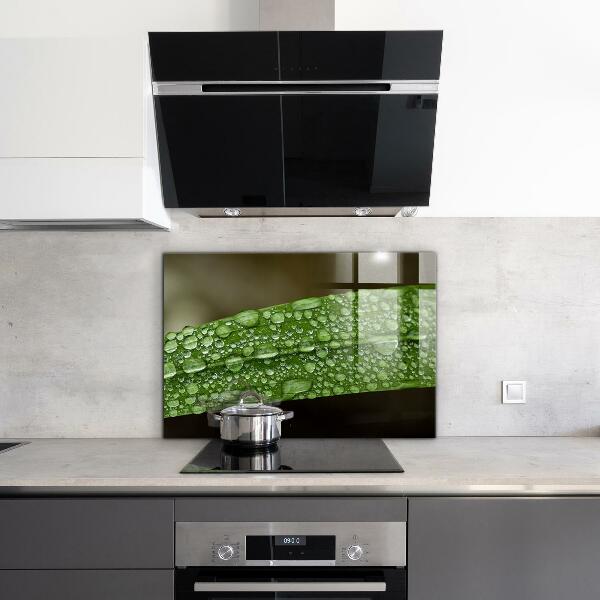 Pannello paraschizzi cucina Foglia verde dopo la pioggia