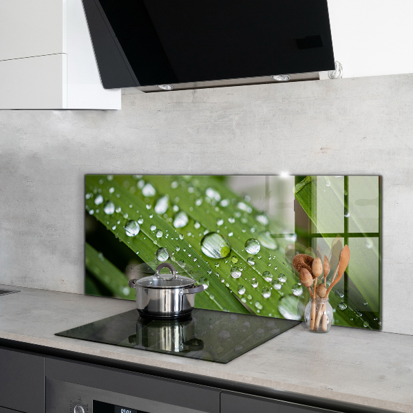 Pannello paraschizzi cucina Gocce di rugiada sull'erba