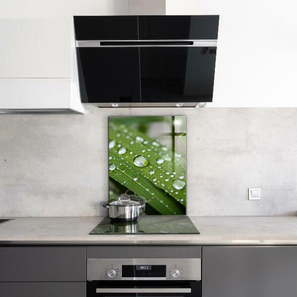 Pannello paraschizzi cucina Gocce di rugiada sull'erba