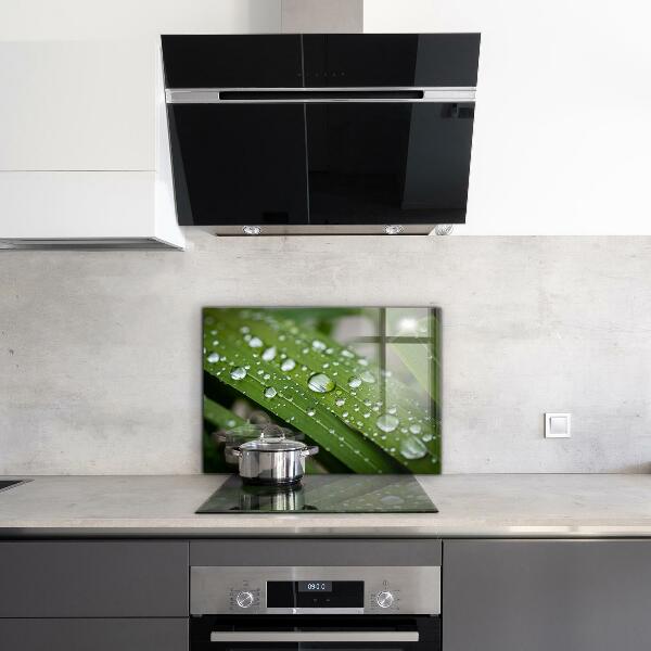 Pannello paraschizzi cucina Gocce di rugiada sull'erba