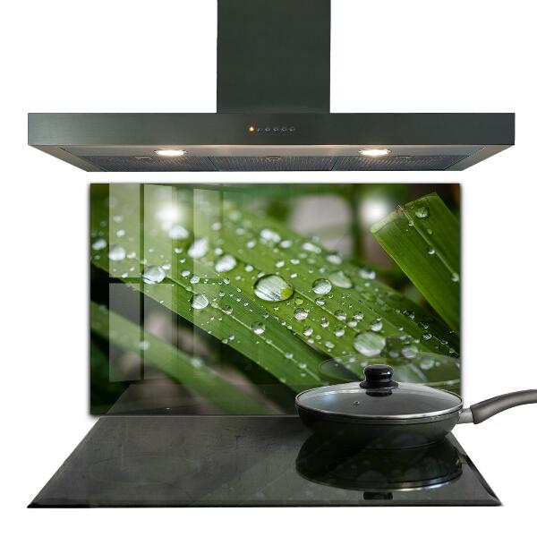 Pannello paraschizzi cucina Gocce di rugiada sull'erba