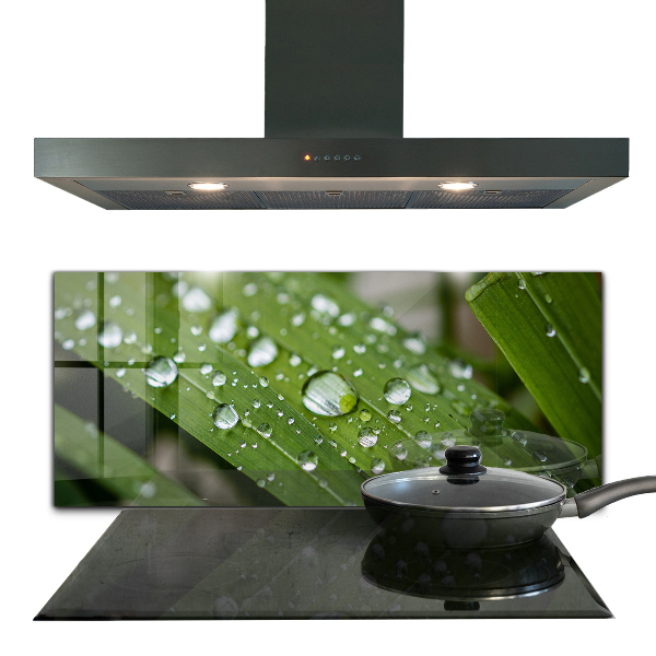 Pannello paraschizzi cucina Gocce di rugiada sull'erba