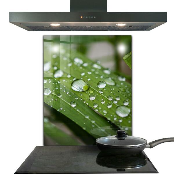 Pannello paraschizzi cucina Gocce di rugiada sull'erba