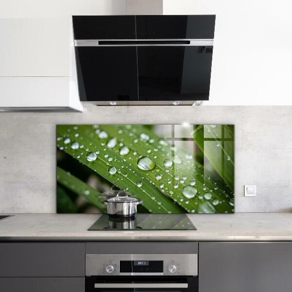 Pannello paraschizzi cucina Gocce di rugiada sull'erba