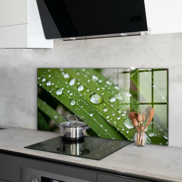 Pannello paraschizzi cucina Gocce di rugiada sull'erba