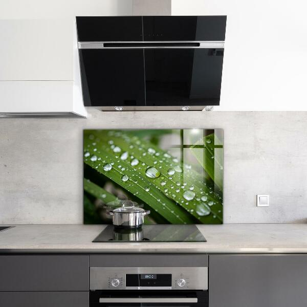 Pannello paraschizzi cucina Gocce di rugiada sull'erba