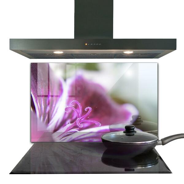 Pannello paraschizzi cucina Dettagli della natura del fiore rosa