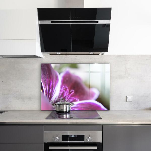 Pannello paraschizzi cucina Dettagli della natura del fiore rosa