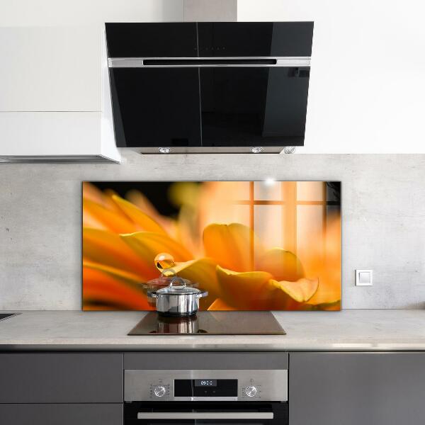 Pannello paraschizzi cucina Fiore di gerber