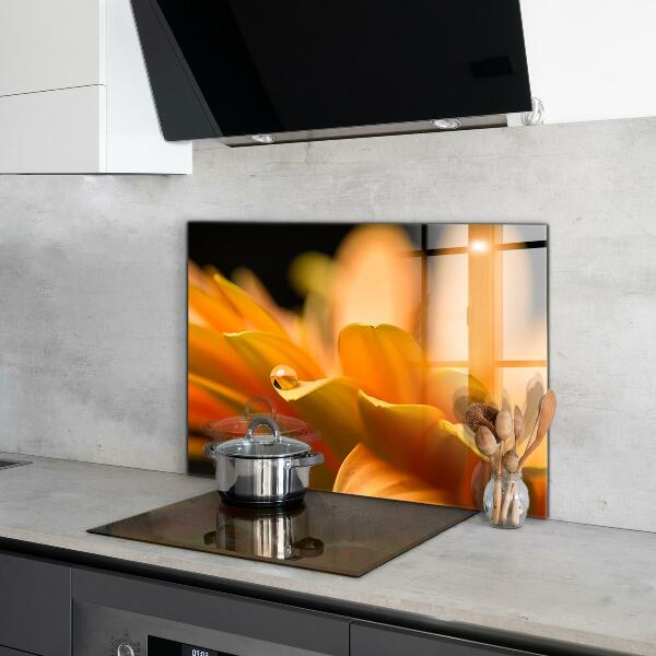 Pannello paraschizzi cucina Fiore di gerber