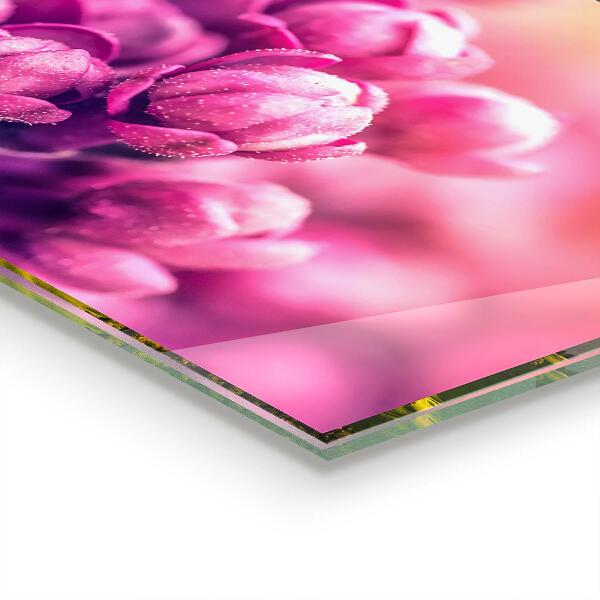 Pannello paraschizzi cucina Bellezza naturale dei gigli rosa