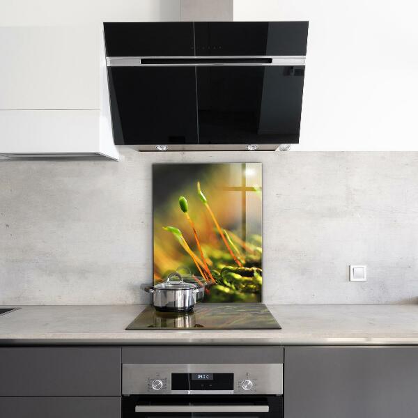 Pannello paraschizzi cucina Dettagli del muschio di foresta