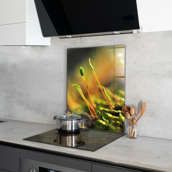 Pannello paraschizzi cucina Dettagli del muschio di foresta