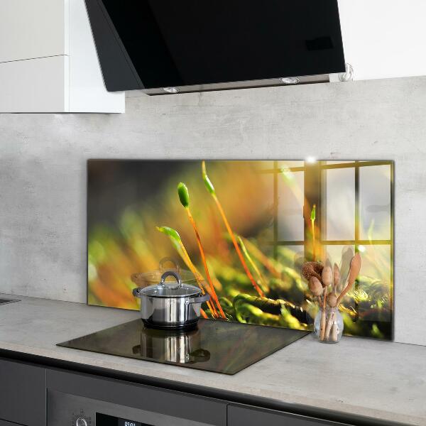 Pannello paraschizzi cucina Dettagli del muschio di foresta