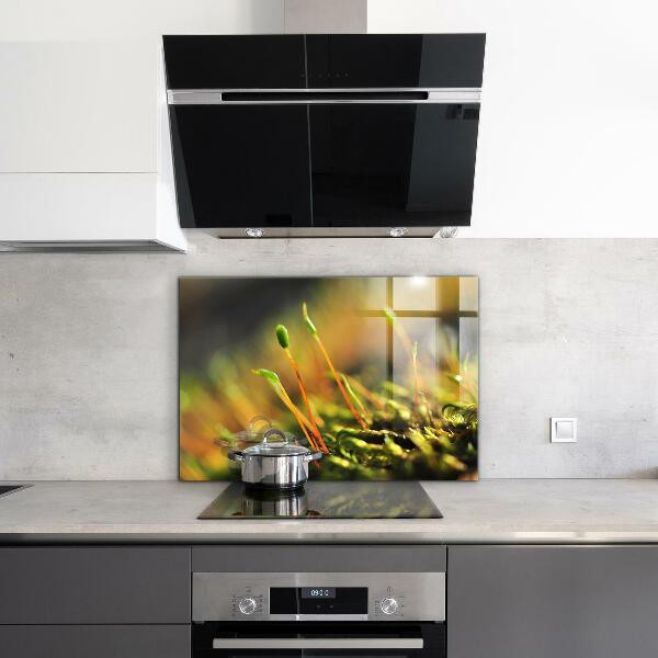 Pannello paraschizzi cucina Dettagli del muschio di foresta