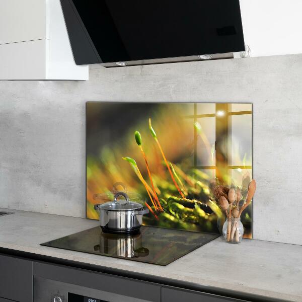 Pannello paraschizzi cucina Dettagli del muschio di foresta