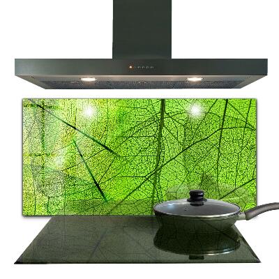 Pannello paraschizzi cucina Trama di foglia verde