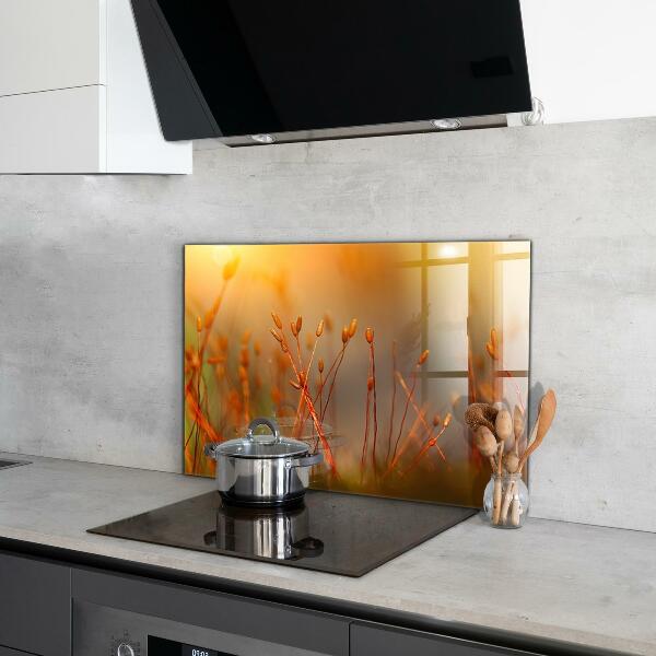 Pannello paraschizzi cucina Campo di grano al tramonto