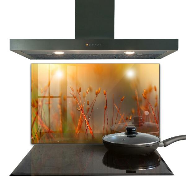 Pannello paraschizzi cucina Campo di grano al tramonto