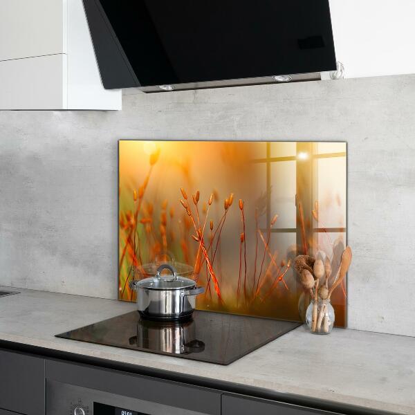 Pannello paraschizzi cucina Campo di grano al tramonto