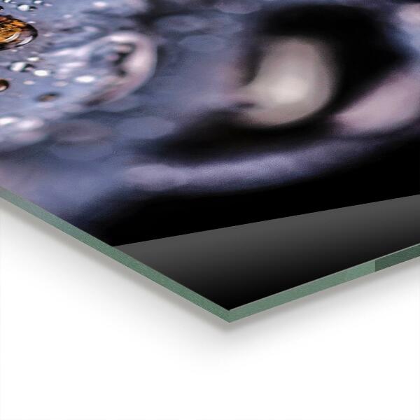 Pannello paraschizzi cucina Mirtilli succosi