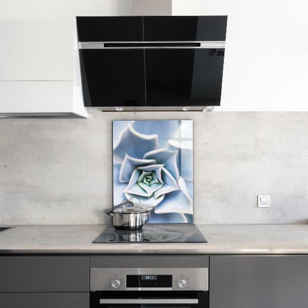 Pannello paraschizzi cucina Cactus succulento