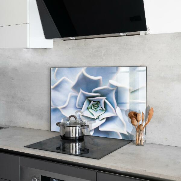 Pannello paraschizzi cucina Cactus succulento