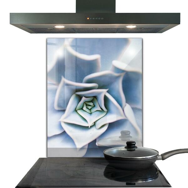 Pannello paraschizzi cucina Cactus succulento