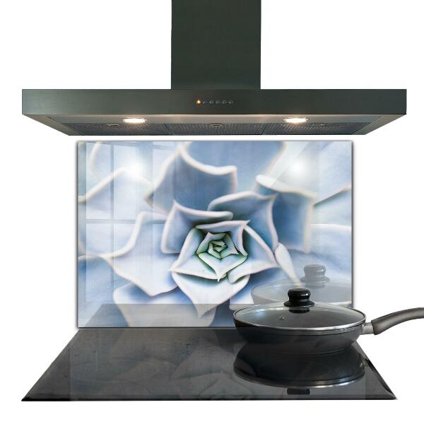 Pannello paraschizzi cucina Cactus succulento