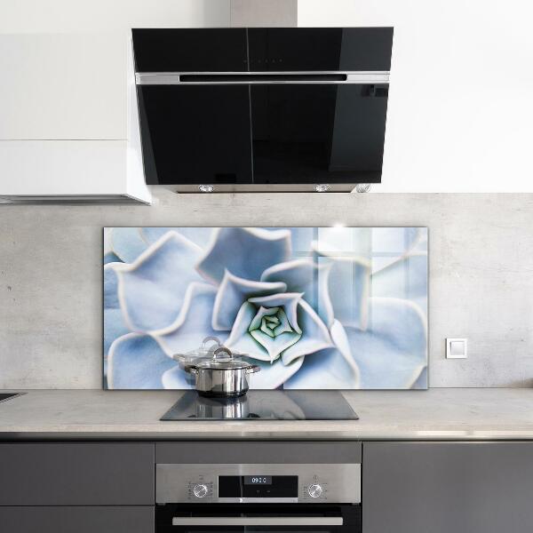 Pannello paraschizzi cucina Cactus succulento