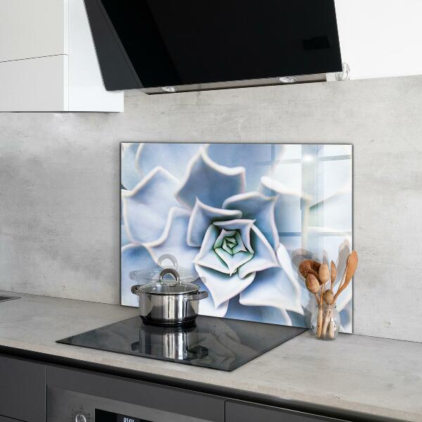 Pannello paraschizzi cucina Cactus succulento