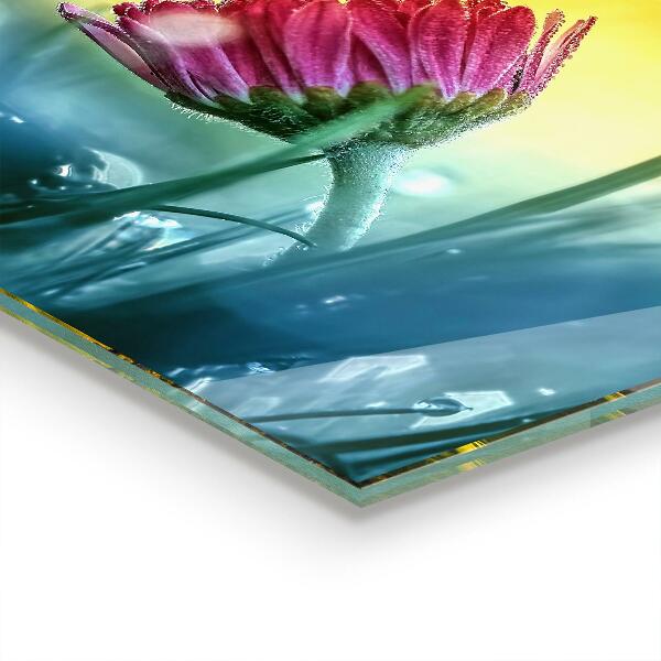 Pannello retrocucina Delicata margherita nel prato