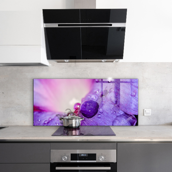 Pannello retrocucina Fiore viola con rugiada mattutina