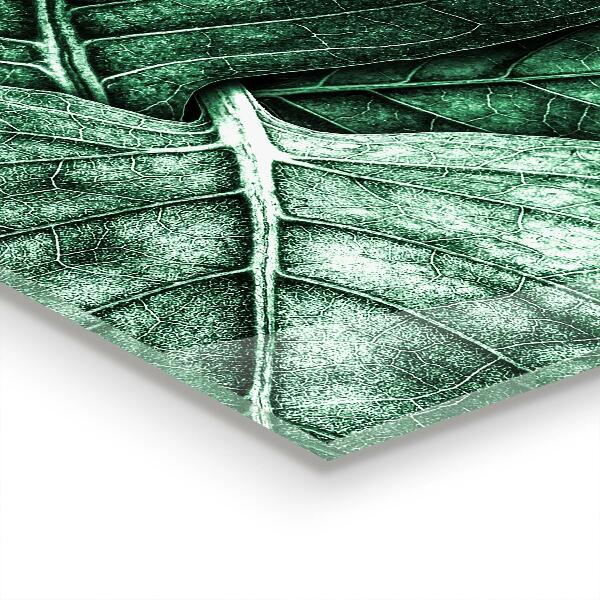 Pannello retrocucina Dettagli foglia verde