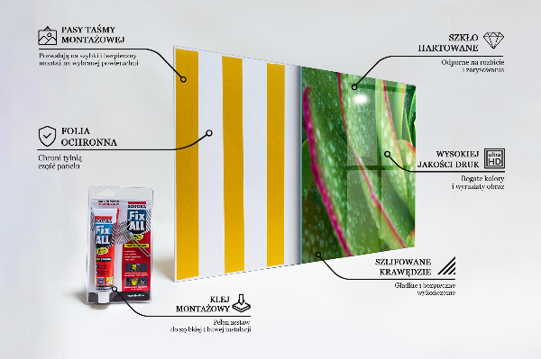 Pannello retrocucina Succulente giardino verde skalnik