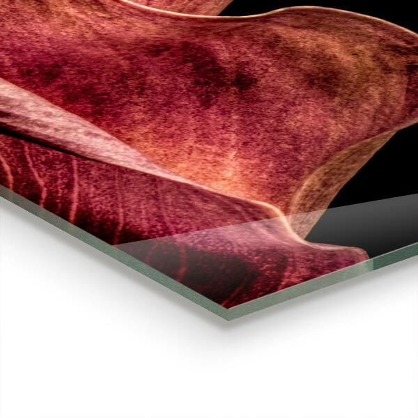 Pannello retrocucina Elegante foglia delicata