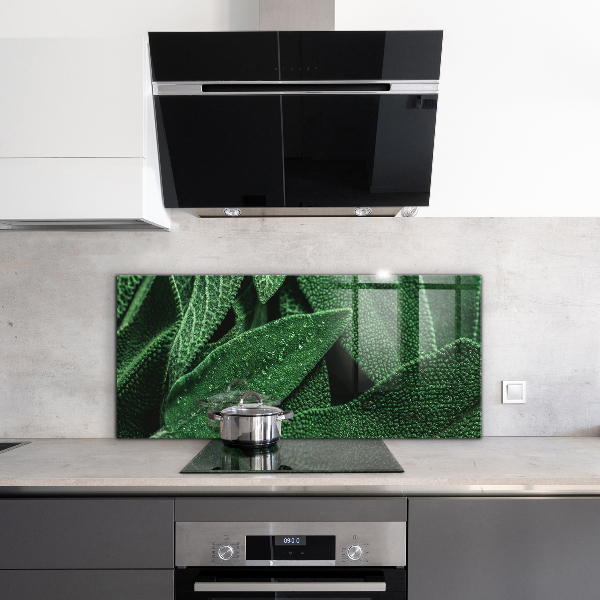 Pannello retrocucina Foglie verdi dopo la pioggia