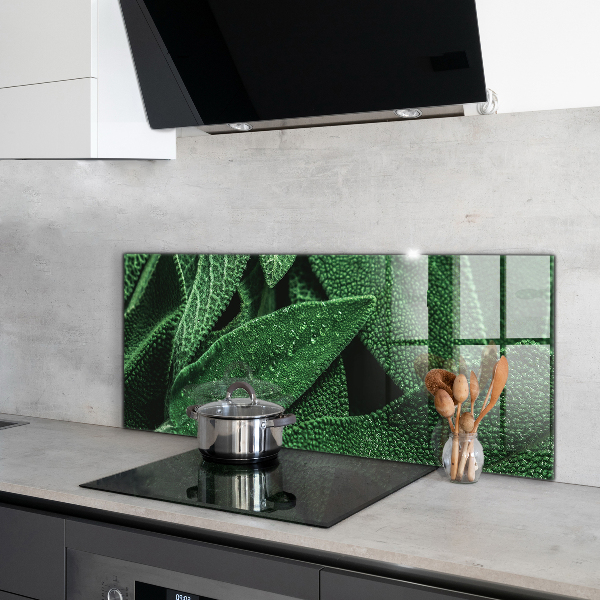 Pannello retrocucina Foglie verdi dopo la pioggia