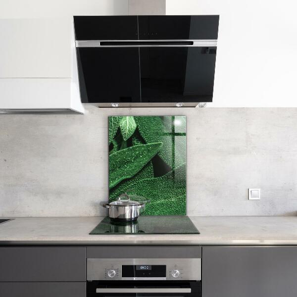 Pannello retrocucina Foglie verdi dopo la pioggia