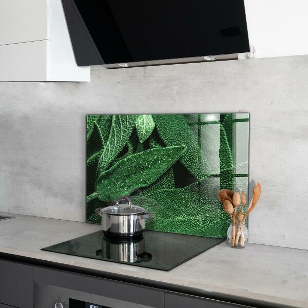 Pannello retrocucina Foglie verdi dopo la pioggia