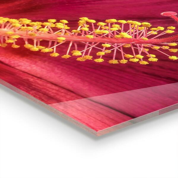 Pannello retrocucina Ibisco rosa