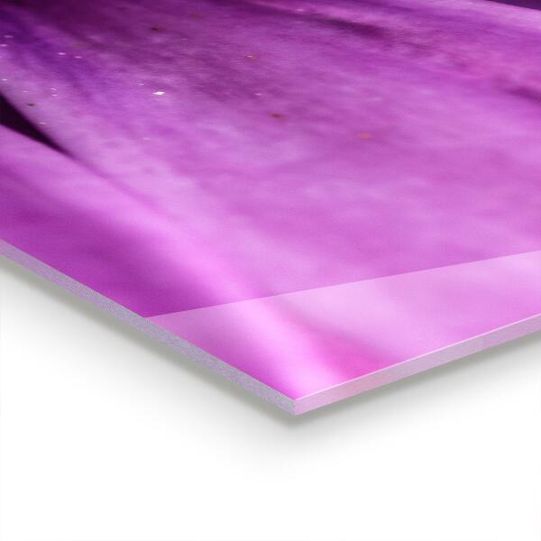 Pannello retrocucina Fiore estivo viola