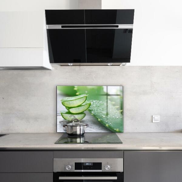 Pannello retrocucina Aloe pianta di aloe vera