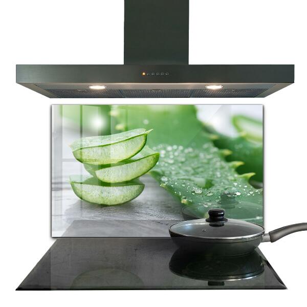 Pannello retrocucina Aloe pianta di aloe vera