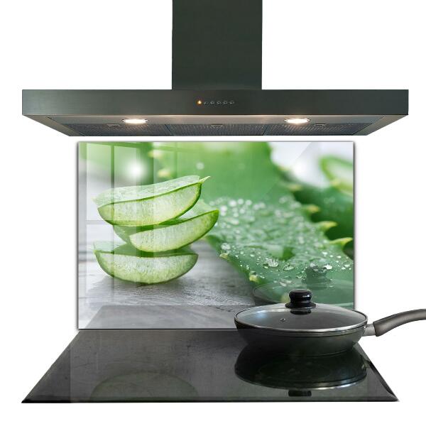 Pannello retrocucina Aloe pianta di aloe vera