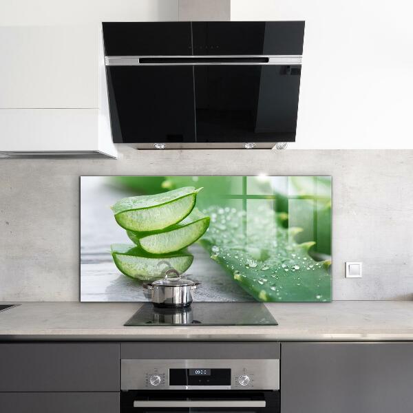 Pannello retrocucina Aloe pianta di aloe vera